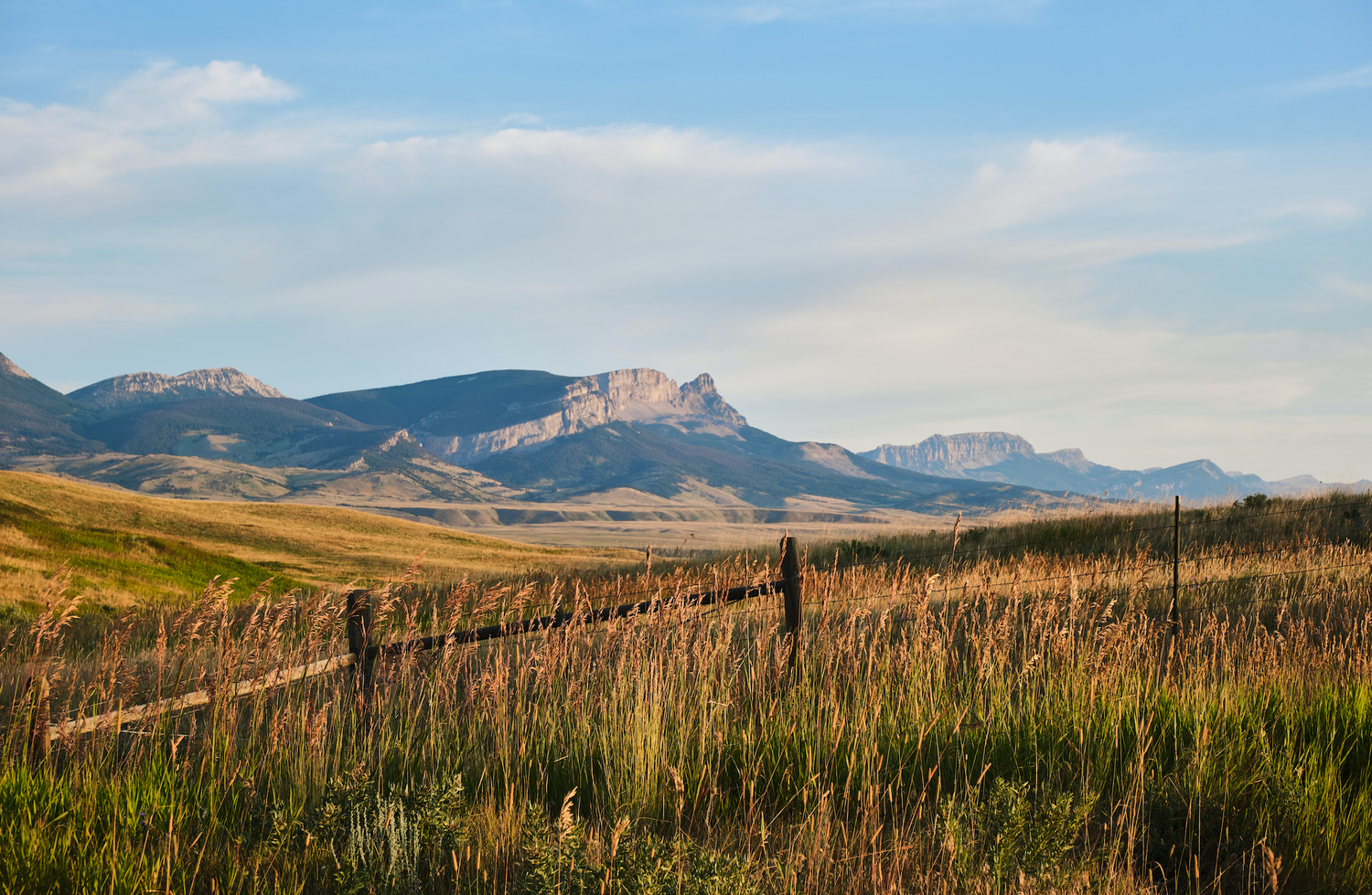 Montana's Upcoming Recreational Market