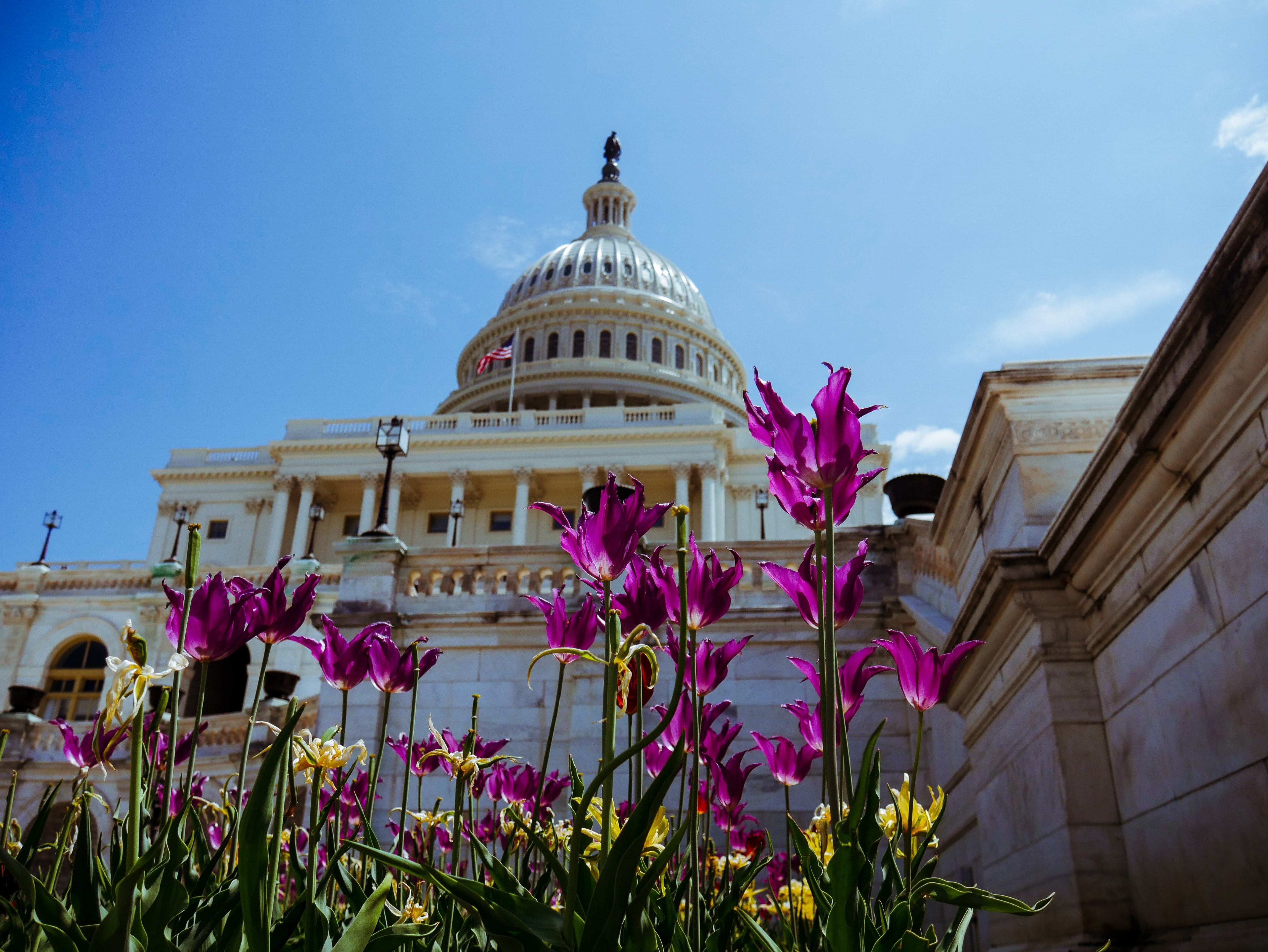 Bill Passed by House to Federally Legalize Marijuana