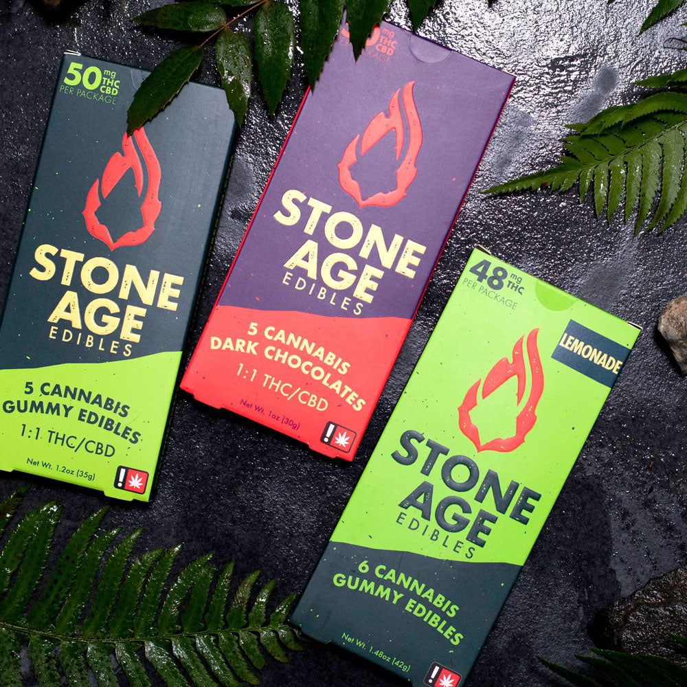 Stone Age Edibles Boxes arranged with ancient ferns and slate background